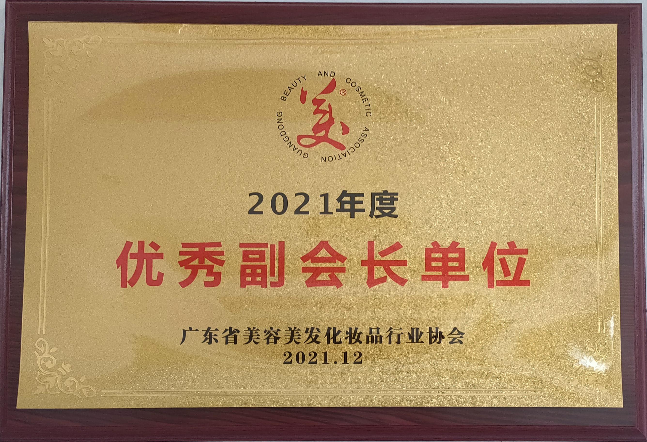 2021年度优秀副会长单位-广东省美容美发化妆品行业协会